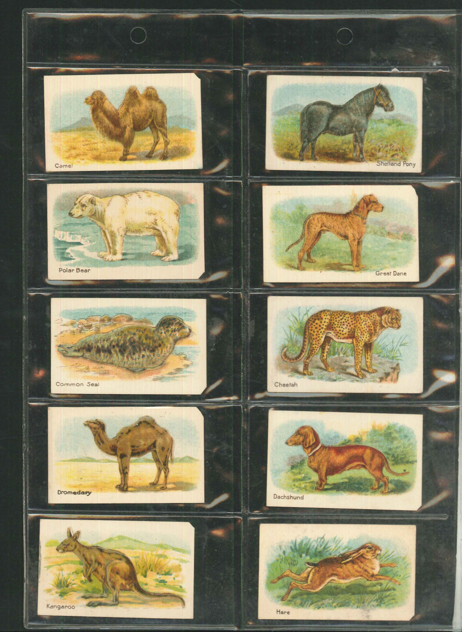 Hustler Set of 20 Animals First Series