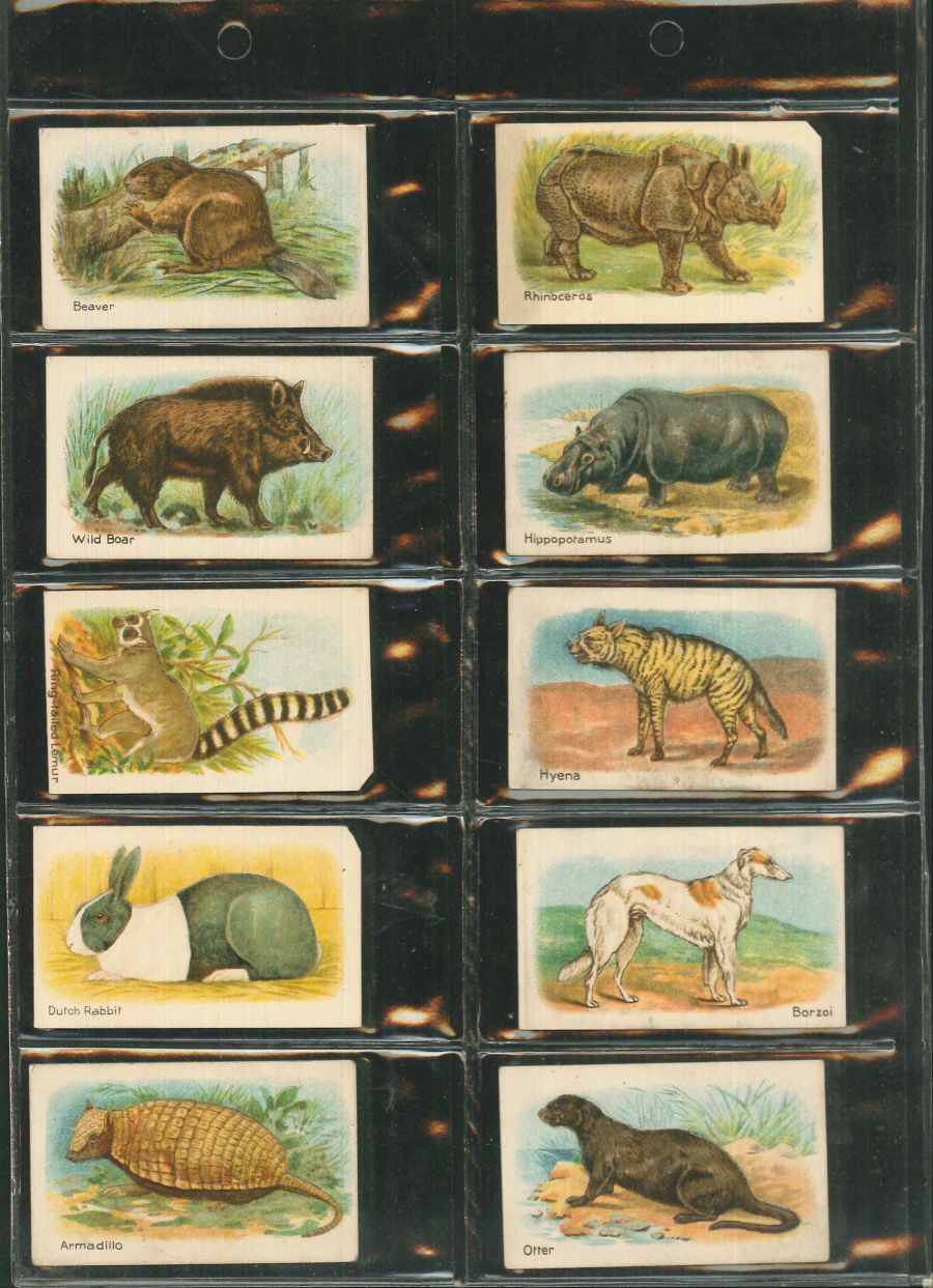 Hustler Set of 20 Animals Second Series - Click Image to Close